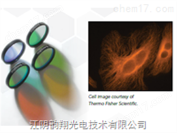 Qdot®单波段滤光片组