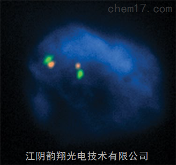 单波段滤光片组用于FISH和密集复用